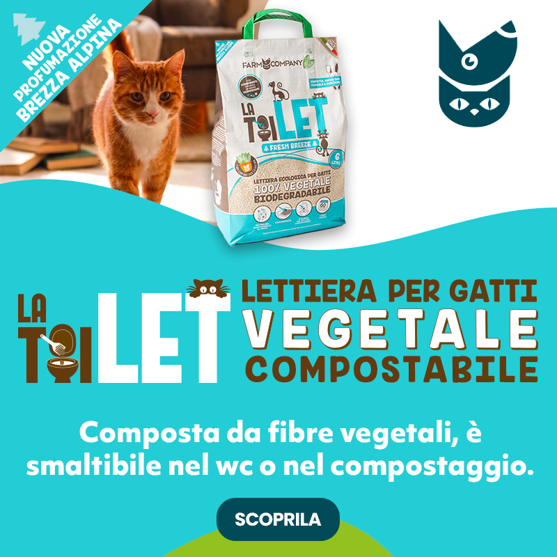 La Toilet nuova